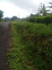 HERMOSA PROPIEDAD EN EL RECREO DE COLONIA PUNTARENAS DE UPALA en Upala, Alajuela — 32 000 000 ₡ - Foto 5 de 11