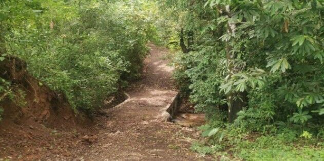 Venta de Lote con Riachuelo en Hojancha-Puerto Carrillo, Guanacaste. RAH 26-994 en Puerto Carrillo, Hojancha, Guanacaste — ₡ 60 000 000
