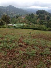 Farm For Sale San Cristóbal, Desamparados, San José