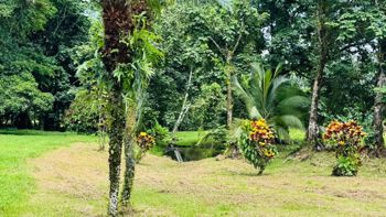 🌿 QUINTAS EN VENTA | NATURALEZA, ESPACIO Y TRANQUILIDAD en Jiménez, Pococí, Limón — ₡ 28 000 000 - Foto 3 de 13