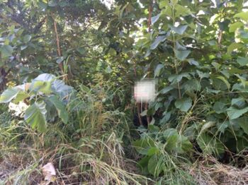 Lote en venta  en Sámara, Nicoya, Guanacaste — 10 000 000 ₡ - Foto 4 de 5