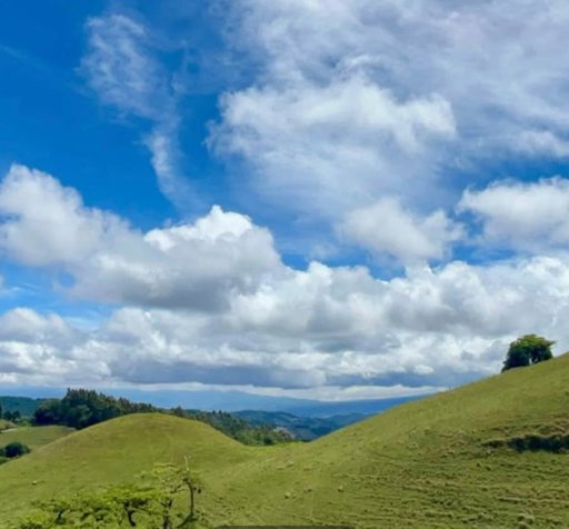 VENTA - Finca de 17 Hectáreas -  CARTAGO- PRECIO NEGOCIABLE en Patio De Agua, El Guarco, Cartago — ₡ 262 500 000