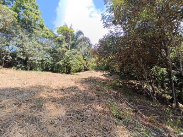 Lote en la montaña ideal para vivir en Parrita, Puntarenas — $19