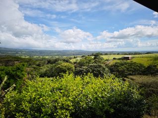 Hermosa Hacienda Cerca del Aeropuerto de Liberia con Clima Perfecto en Liberia, Guanacaste — $730,000 - Foto 3 de 60