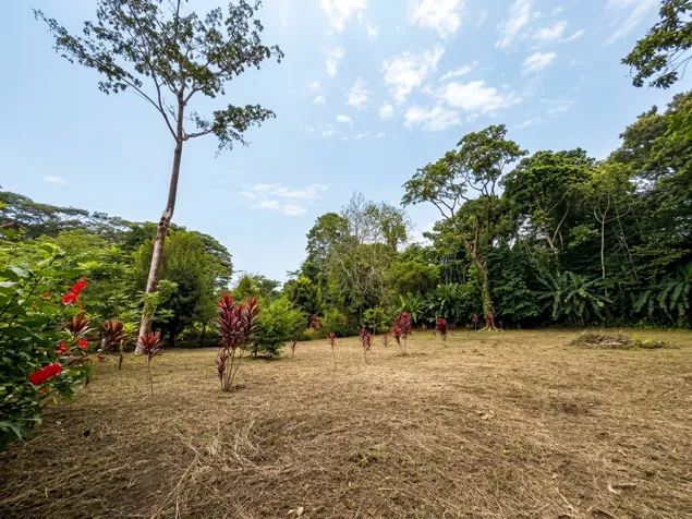Se vende terreno de 3000 m² a 5 min de Puerto Vargas, Cahuita (PA) en Cahuita, Talamanca, Limón — $240,000