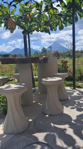 SE VENDE BELLÍSIMA PROPIEDAD EN ZONA FLUCA, SAN CARLOS.  en La Fortuna, San Carlos, Alajuela — ₡ 60 000 000