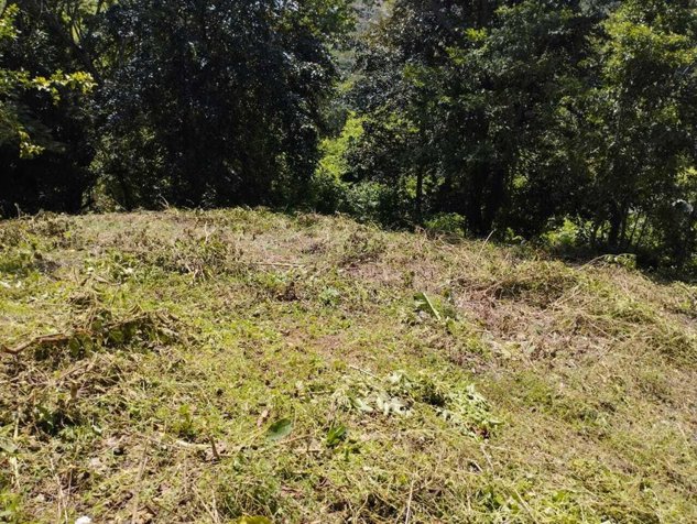 Venta de Quinta en Esparza-Espíritu Santo, Puntarenas. RAH 26-374 en Espíritu Santo, Esparza, Puntarenas — ₡ 52 000 000 - Foto 3 de 13