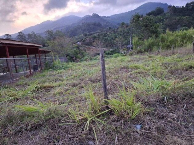 Hermoso lote plano ideal para construir o invertir rodeado de naturaleza y clima fresco #26-1700 GS en Santa María, Dota, San José — $75,000