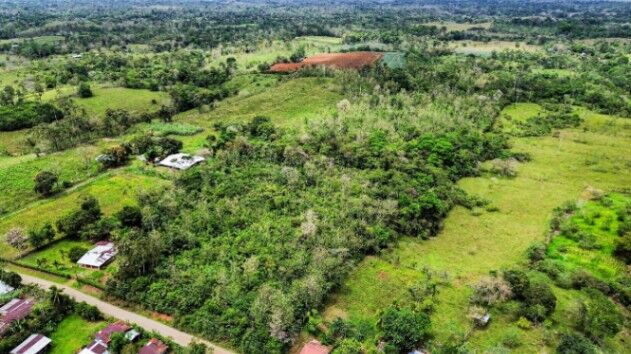 Finca de oportunidad  en Bijagua, Upala, Alajuela — ₡ 50 000 000