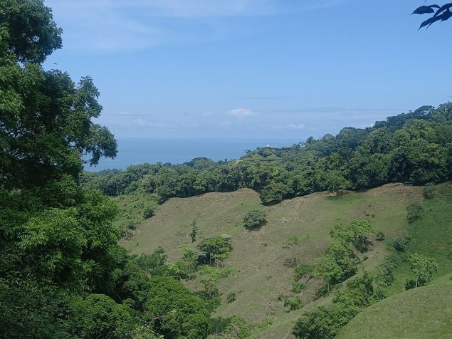 Finca en Lagunas de Barú Pérez Zeledón (Vista al Mar) en Barú, Pérez Zeledón, San José — $2,000,000 - Foto 2 de 14