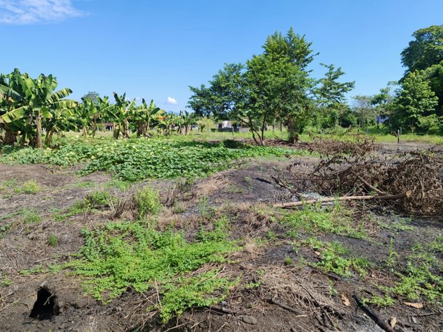 Terreno 4200 m² para desarrollo cerca de Playa Palo Seco, Parrita en Parrita, Puntarenas — $248,000 - Foto 3 de 12