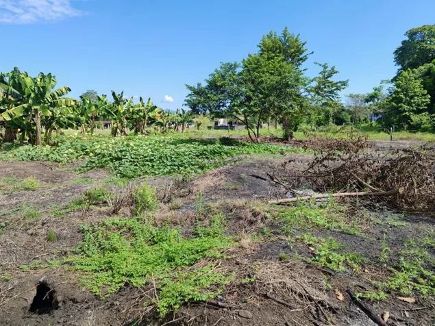 Terreno 4200 m² para desarrollo cerca de Playa Palo Seco, Parrita in Parrita, Puntarenas — $248,000 - Photo 3 of 12