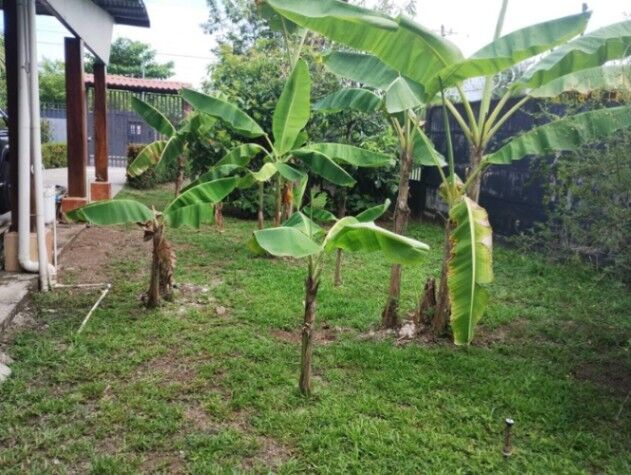Venta de Casa en Parrita, Puntarenas. RAH 25-549 in Parrita, Puntarenas — $168,317