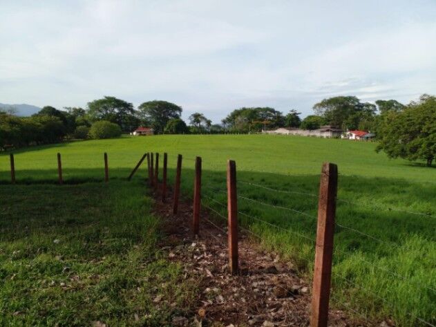 VENTA DE PROPIEDAD en Coyolar, Orotina, Alajuela — ₡ 280 000 000