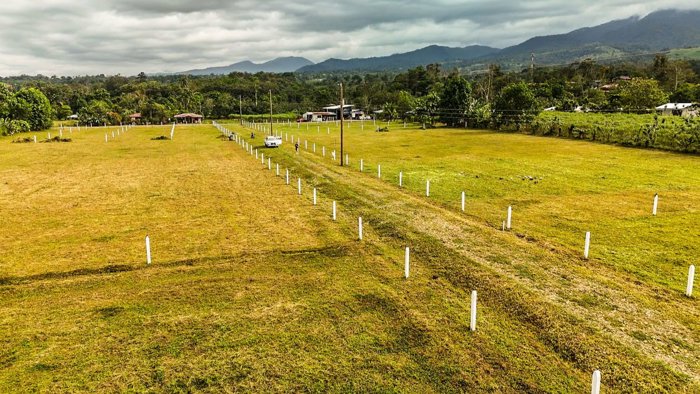 Lotes de 5,000m2 con Vista al Volcán y Financiados con el 20% de prima | 8751-4191 en La Fortuna, San Carlos, Alajuela — ₡ 72 500 000