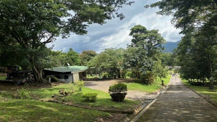 92,370m2 con casa de peon ideal para finca o urbanizar en Atenas, Alajuela — $2,771,100 - Foto 3 de 10