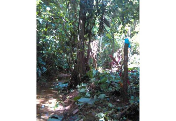 VENTA DE LOTE, LIMÓN, PUERTO VIEJO, COCLES en Cahuita, Talamanca, Limón — $75,000