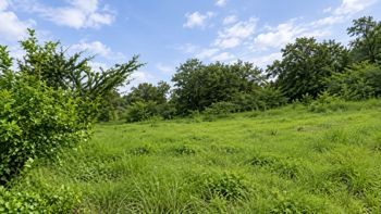 Oportunidad en Hojancha Guanacaste  Lote de 2,030 m² en Huacas, Hojancha, Guanacaste — 22 000 000 ₡ - Foto 4 de 15