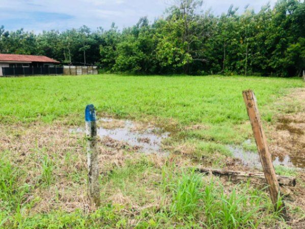 Lote comercial o residencial en Palmar, Osa, Puntarenas — ₡ 18 607 500