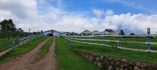 FINCA LECHERA A PUERTA CERRADA en Santa Teresita, Turrialba, Cartago — $1,500,000