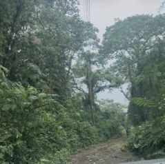 SE VENDE BELLA PROPIEDAD EN CORONADO, SAN JOSÉ. en Cascajal, Vázquez de Coronado, San José — 40 000 000 ₡ - Foto 2 de 5