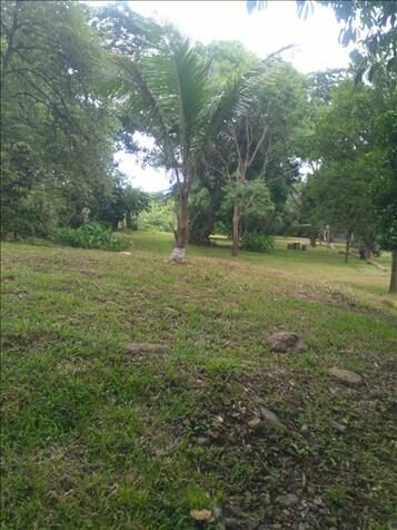 Vendo Lote cerca de la playa. in Miramar, Montes De Oro, Puntarenas — ₡ 75 000 000