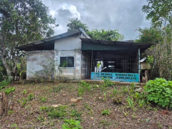 1/2 hectare en La Concepcion Platanares con luz y agua. in Platanares, Pérez Zeledón, San José — $30,000