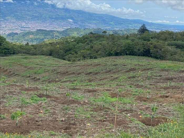 Finca en el Guarco de Cartago in El Tejar, El Guarco, Cartago — $1,800,000