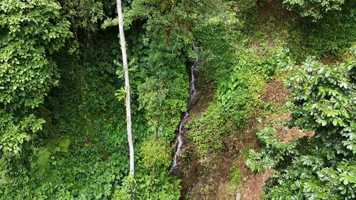 FOR SALE: LAND WITH PRIVATE WATERFALL, FOREST AND MOUNTAIN VIEWS IN TIERRAS MORENAS DE SAVEGRE in Savegre, Quepos, Puntarenas — $97,000 - Photo 3 of 18