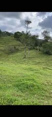 VENTA DE FINCA EN SIQUIRRES, LIMÓN –COSTA RICA - ZONA LAS BRISAS DE PACUARITO. in Cahuita, Talamanca, Limón — $775,000 - Photo 4 of 10