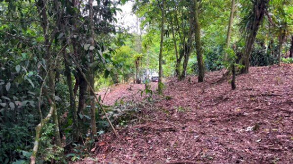 LOTE EN RIVAS 3,624M² A PRECIO ATRACTIVO in Rivas, Pérez Zeledón, San José — $69,999