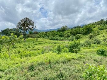 Venta de Lote en San Ramon, Alajuela. RAH 25-1837 en Peñas Blancas, San Ramón, Alajuela — $1,500,000 - Foto 5 de 9
