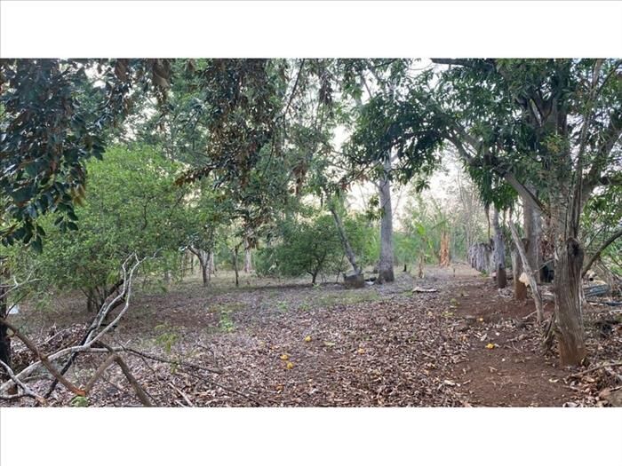 VENTA DE LOTE, ALAJUELA, OROTINA, COYOLAR en Coyolar, Orotina, Alajuela — ₡ 185 000 000
