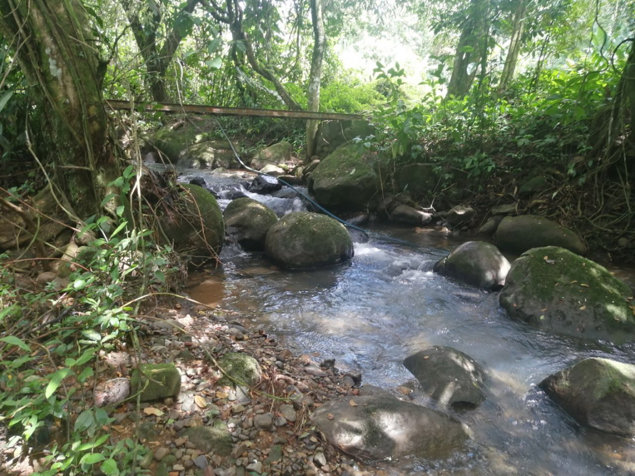 GREAT LOCATION!! Community, permaculture , self sustainable in Cajón, Pérez Zeledón, San José — $399,000 - Photo 3 of 80