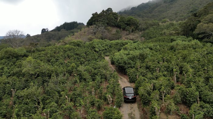 Finca en Venta en Copey de Dota 12.9 hectareas en Santa María, Dota, San José — $2,000,000