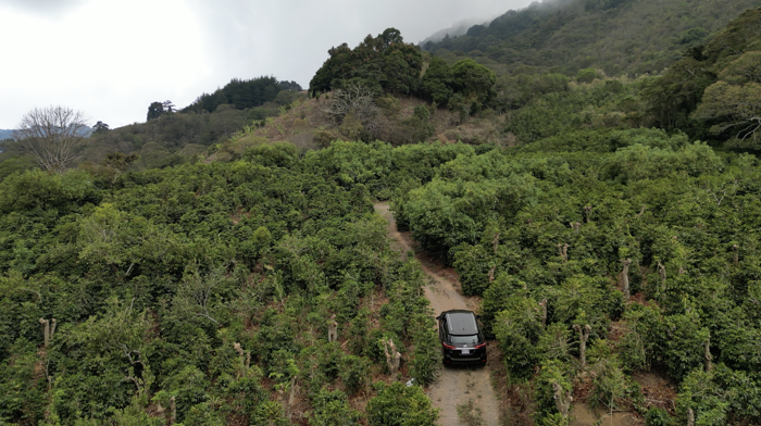 Finca for Sale in Copey de Dota, 12.9 hectares in Santa María, Dota, San José — $2,000,000