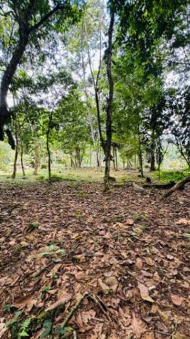 Terreno a la venta en Guapiles in Guápiles, Pococí, Limón — ₡ 20 000 000