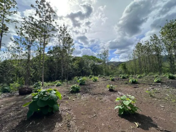 Venta de Lote en Nicoya, Guanacaste. RAH 25-1990 in Nicoya, Guanacaste — $60,000