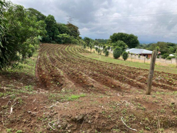 SE VENDE UNA JOYA DE PROPIEDAD EN ATENAS.  en Santa Eulalia, Atenas, Alajuela — ₡ 112 000 000