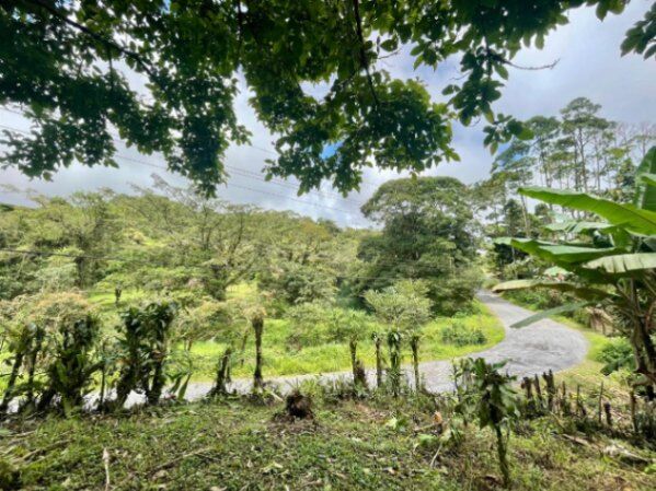 VENTA DE LOTE l CARIBLANCO, SARAPIQUÍ l ALAUELA l PRECIO NEGOCIABLE. en Sarapiquí, Alajuela — ₡ 25 000 000