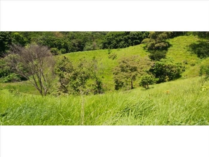 VENTA DE FINCA, PUNTARENAS, MONTAÑA GRANDE, LEPANTO en Lepanto, Puntarenas — $210,000