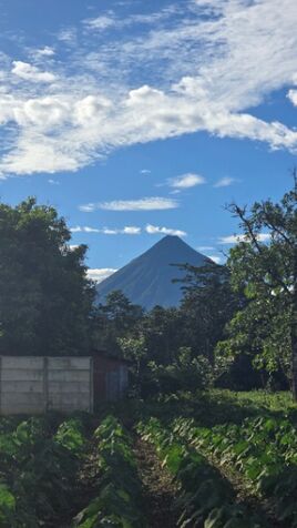 Lote con Vista al Volcán 948m2 a 10min de La Fortuna en La Fortuna, San Carlos, Alajuela — ₡ 41 000 000