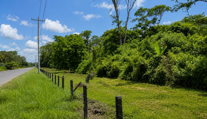 Finca para Desarrollo Eco-Turístico – 29.8 Hectáreas Cerca del Caribe in Matama, Limón — $2,000,000