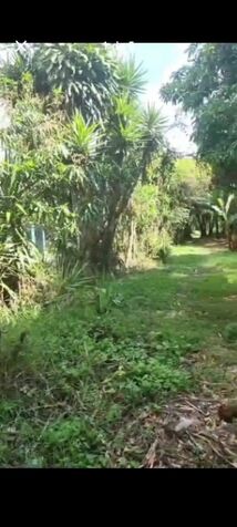 DE OPORTUNIDAD 2 BELLAS PROPIEDADES EN SAN RAFAEL ARRIBA DE DESAMPARADOS.  en San Rafael Arriba, Desamparados, San José — ₡ 55 000