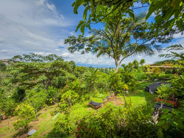 Finca Orgánica con Vista al Valle en Venta en Cajón, Grecia en Grecia, Alajuela — ₡ 50 000 000 - Foto 3 de 37