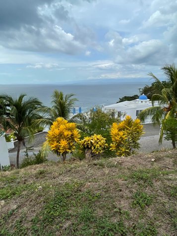Lote alto de leonamar in Tárcoles, Garabito, Puntarenas — $290,000 - Photo 2 of 8