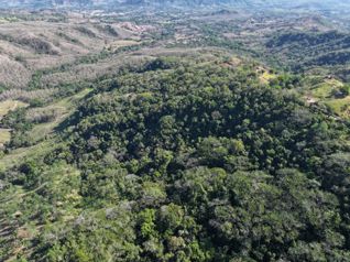 Venta de finca en Hojancha Guanacaste in Huacas, Hojancha, Guanacaste — $515,000,000 - Photo 3 of 9