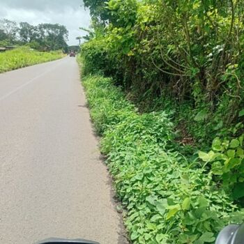 SE VENDE GRANDE Y BELLA PROPIEDAD EN ZONA FLUCA, FORTUNA DE SAN CARLOS.  en La Fortuna, San Carlos, Alajuela — 77 000 000 ₡ - Foto 4 de 5