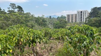 VENTA TERRENO DESARROLLO RESIDENCIAL, SAN JOSE, SAN PEDRO, SABANILLA in Sabanilla, Montes De Oca, San José — $6,080,400 - Photo 5 of 28