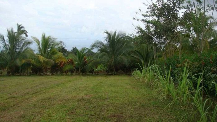 Precioso Lote en Los Ángeles de La Fortuna en La Fortuna, San Carlos, Alajuela — ₡ 50 000 000